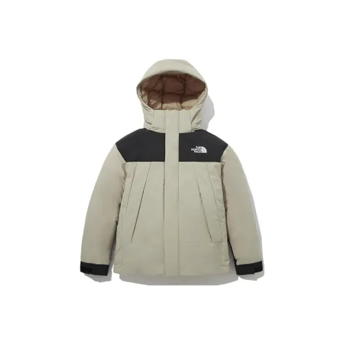 The North Face Пуховики и зимние пальто Унисекс Легкий Бежевый