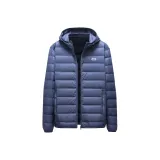 Пыльно-синий