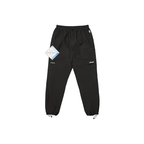 Дворцовый Черный Унисекс Повседневные Брюки