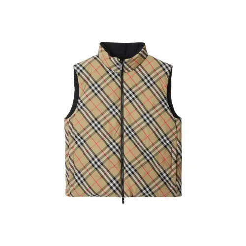 Burberry SS24 Down Jacket Men Brown