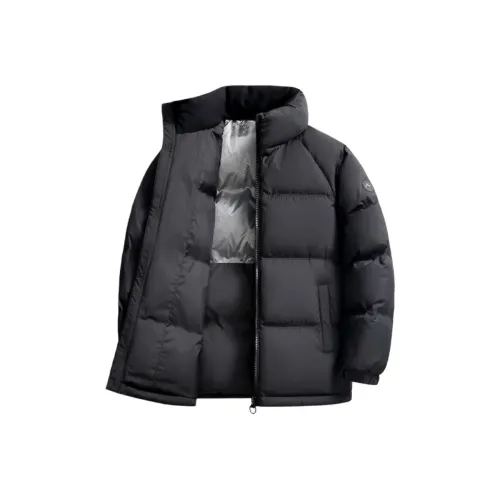 Spanu Мужские Пуховики