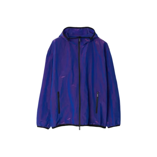 Burberry Куртки и Пальто Мужской Синий