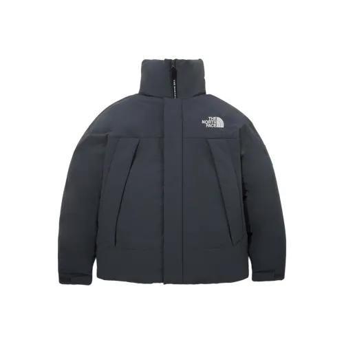 The North Face Темно-серый Мужской пуховик