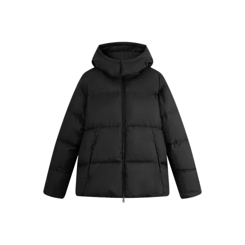 Calvin Klein Мужские Пуховики