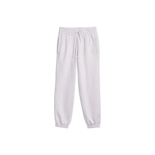 adidas originals Розовые Унисекс Вязаные Тренировочные Брюки