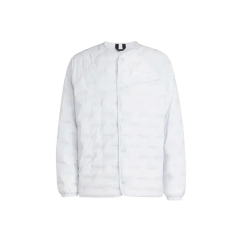 Adidas Terre FW24 XPERIOR Супер Goose Down Jacket Down Jacket Men's Light Blue