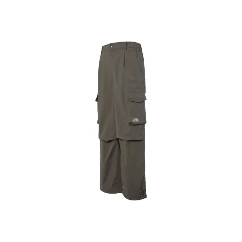 THE NORTH FACE Коричневые Мужские Карго Брюки