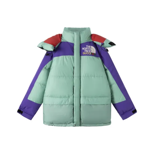 GUCCI x THE NORTH FACE Пуховик Мужской Многоцветный