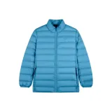 Темно-фиолетовый, синий.