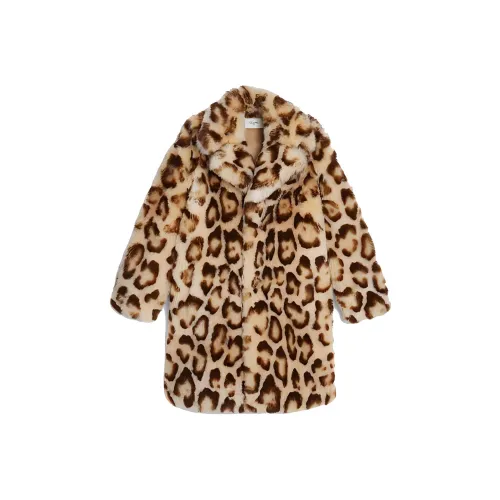 CELINE Коричневый Мужской Мех