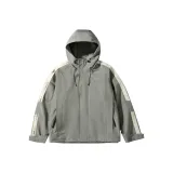 Лесной туман