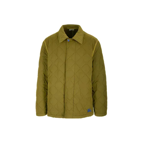 Burberry SS24 Куртки и Пальто Мужской Зеленый
