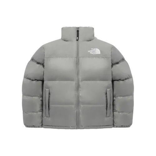 THE NORTH FACE Nuptse FW24 Куртки и Пальто Унисекс Серебристо-Серый