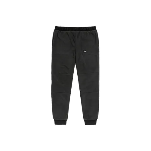 THE NORTH FACE Urban Exploration Флисовые штаны Мужские Серые