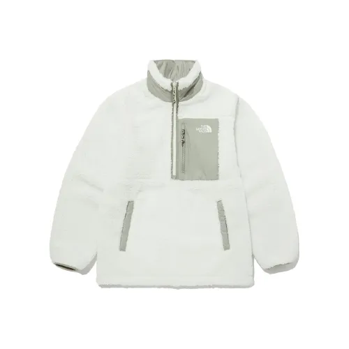 THE NORTH FACE Куртки и Пальто Мужской Свежий Зеленый