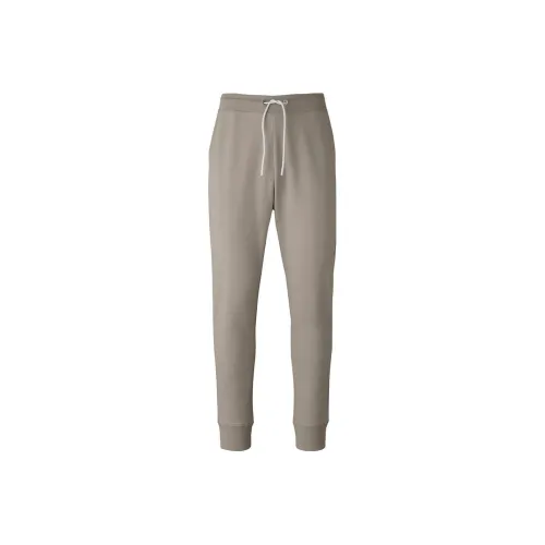 Canada Goose Lime Gray Men's Knitted Training Pants Канада Гуос Лимон Серый Мужские Вязаные Тренировочные Штаны