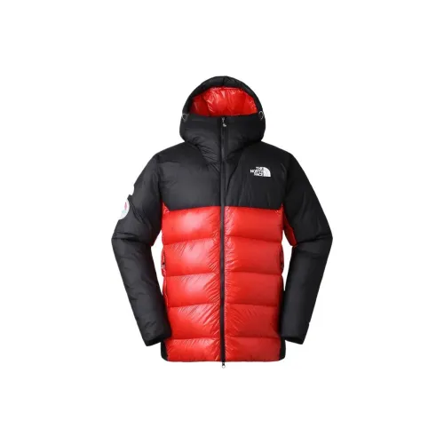 The North Face TheNorthFace Пуховик Мужской Черный