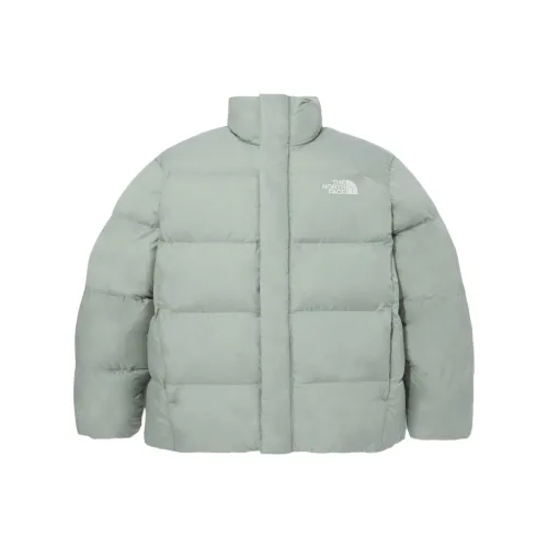 The North Face Пуховая куртка Мужская Чайный Коричневый