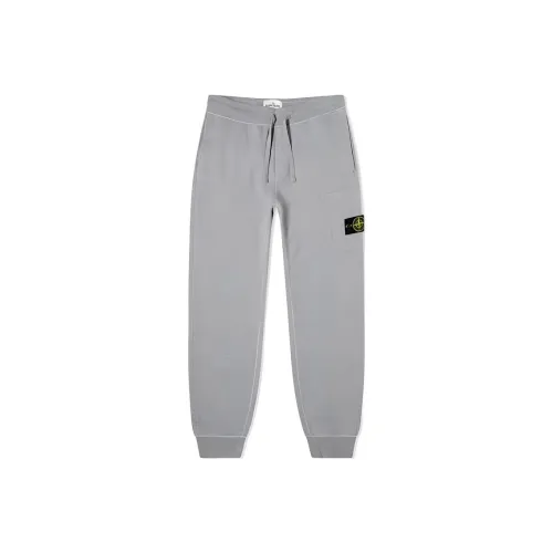 STONE ISLAND SS21 Повседневные брюки Мужские Серые