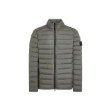 Мох зеленый