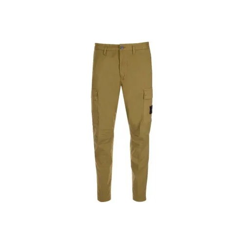 Stone Island Зеленые Мужские Карго Брюки