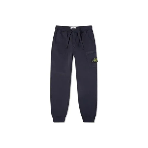 Stone Island Морской Синий Мужские Повседневные Штаны