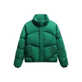 Вечнозелёный