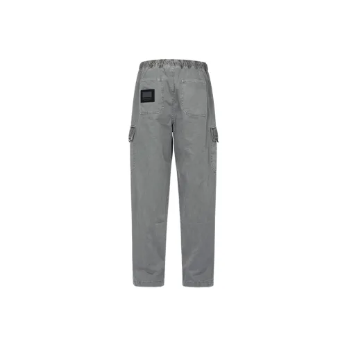 EVISU Gray Мужские Карго Брюки
