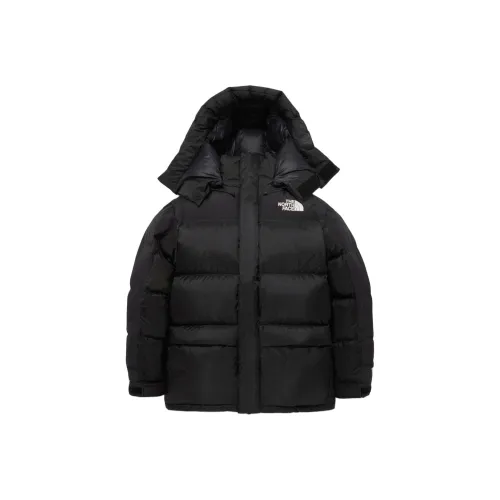 THE NORTH FACE 1994 Collection Пуховики и зимние пальто Мужской Черный