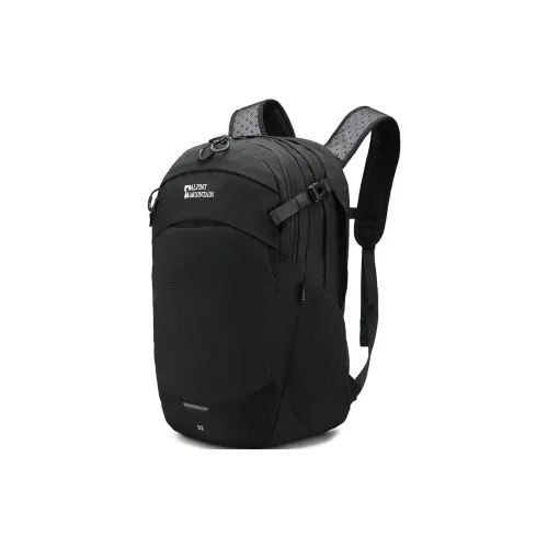 ALPINT MOUNTAIN 32L Туристические сумки Полиэстер How Many Унисекс