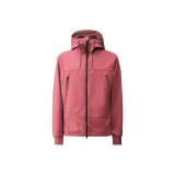 Красный сливовый