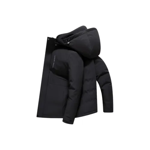 Spanu Мужские Пуховики