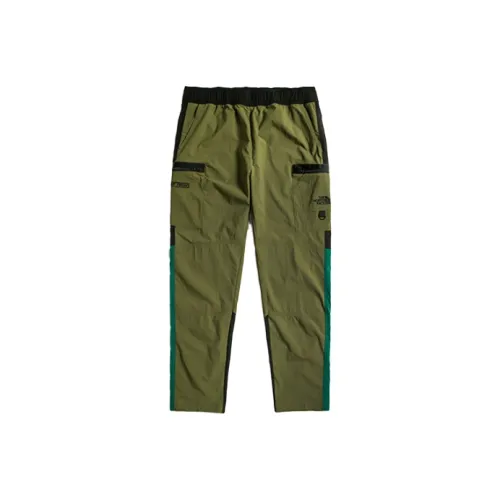 THE NORTH FACE Быстросохнущие брюки мужские