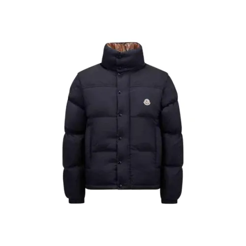Moncler Verone Series FW24 Down Jacket Men's Royal Blue Brown