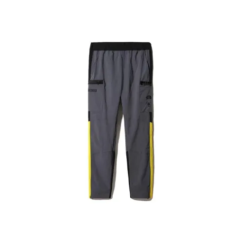 THE NORTH FACE Быстросохнущие брюки мужские