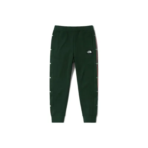 The North Face Штаны с манжетами Тренировочные брюки Унисекс Яшмовый