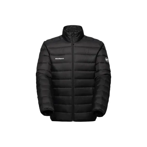 MAMMUT Мужские Куртки