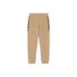 Верблюжий цвет