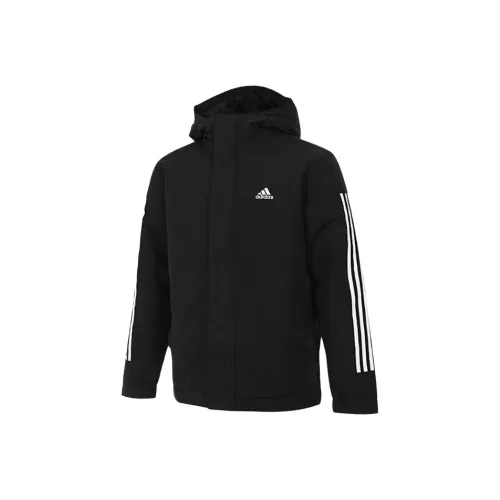 Adidas Черный Мужской Пуховик