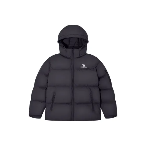 CAMEL Outdoor Однотонный Windproof Съемный С капюшоном Термический Тепловой Водонепроницаемый Флис Пальто С наполнителем Пуховик Мужской