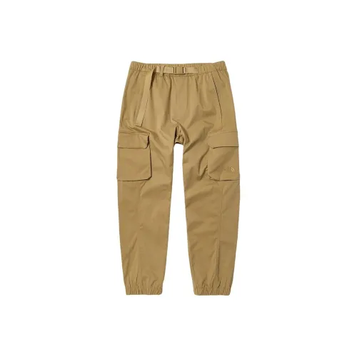 THE NORTH FACE Коричневые Мужские Карго Брюки