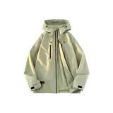 Silver Green - Серебряный Зеленый