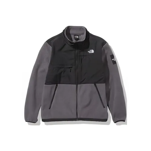 THE NORTH FACE DENALI Куртки и Пальто Мужской Серый