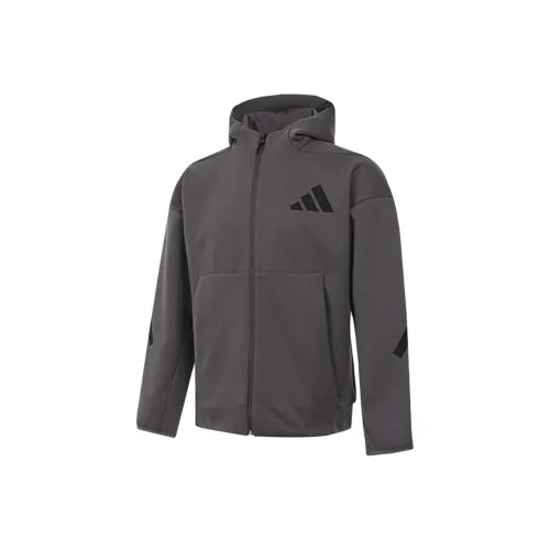 Adidas Серые Мужские Куртки