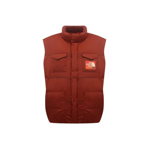GUCCI x THE NORTH FACE Пуховик Мужской Коричневый Красный