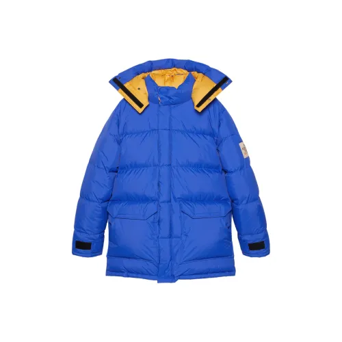 GUCCI The North Face x Gucci Пуховик Мужской Синий
