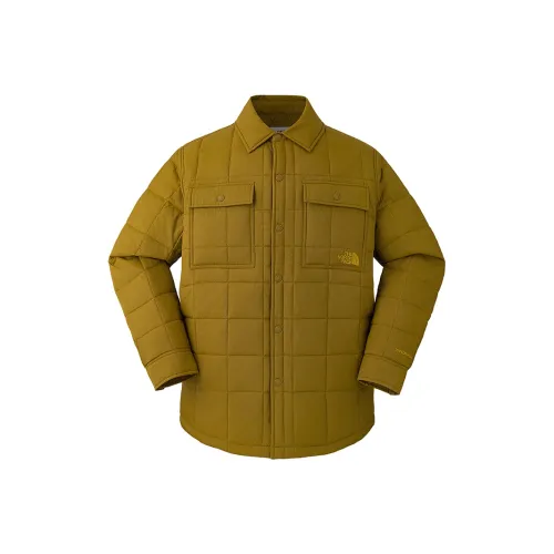 THE NORTH FACE Urban Exploration FW24 Пальто Пуховая куртка Унисекс Зеленый