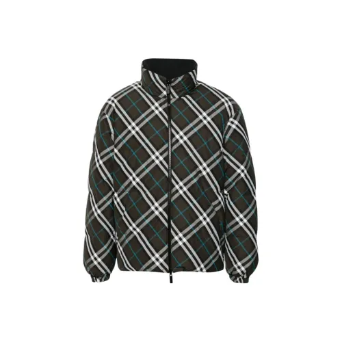 Burberry SS24 Down Jacket Men Brown