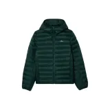 Xinpup Зеленый