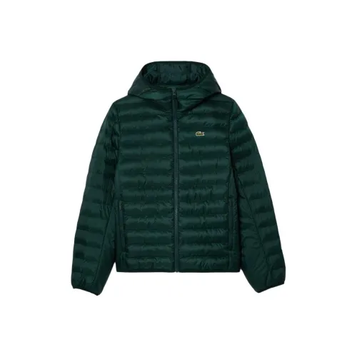 LACOSTE Хлопковый пуховик Мужской Простой Зеленый
